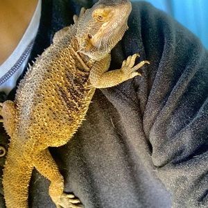 Meet your Posher, Daisy